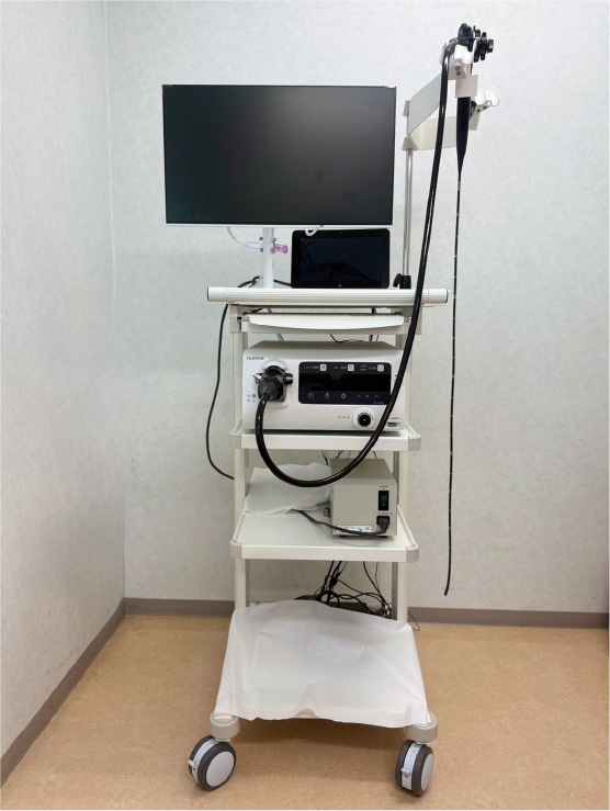 上部消化管内視鏡検査(胃カメラ)